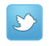 segui Mg immobiliare su twitter